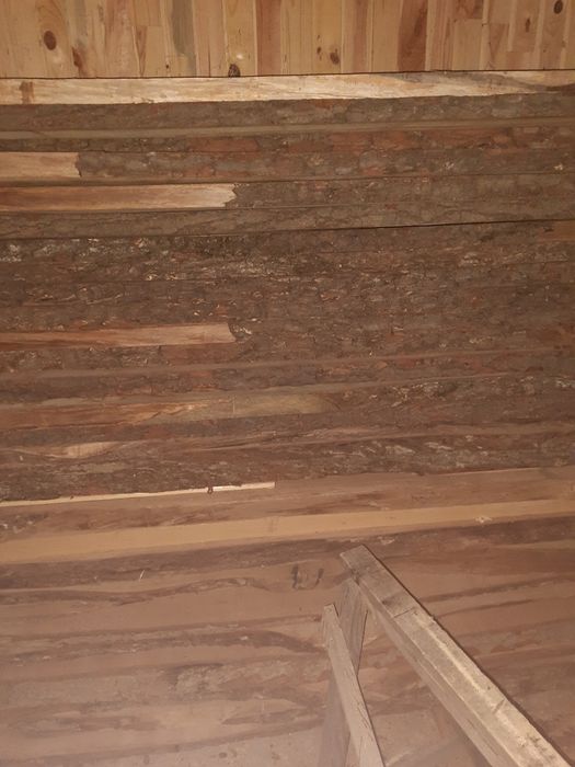 Дуб 50 (тридцатка)