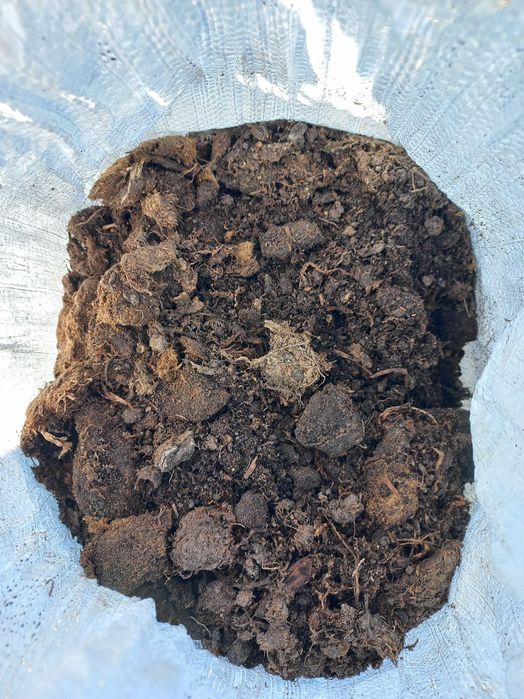 Торф для хвойних і лохини