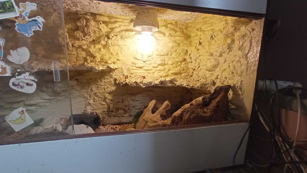 Terrarium pełne wyposażenie