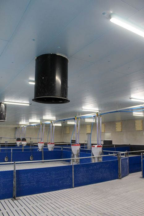 Podsufitka do Budynków Inwentarskich i Magazynowych Styrodur XPS AGRO