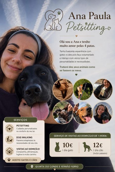 Pet Sitting and Dog and Cat Walks