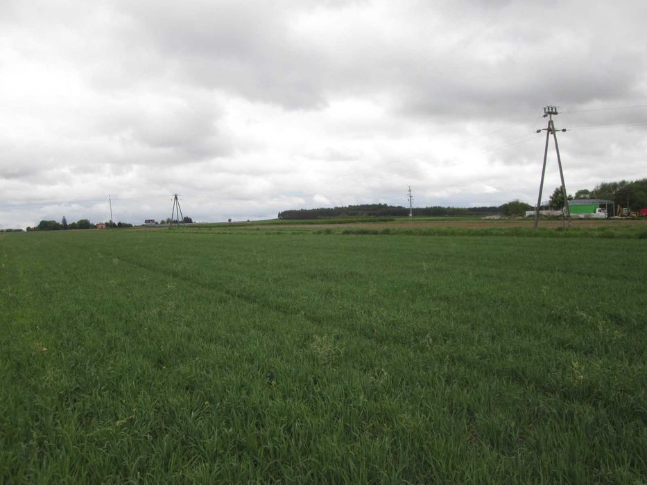Sprzedam działkę - lasek, rzeczka - Widok 5