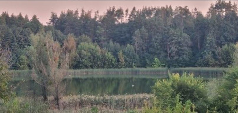 Здам хату в оренду біля ставка