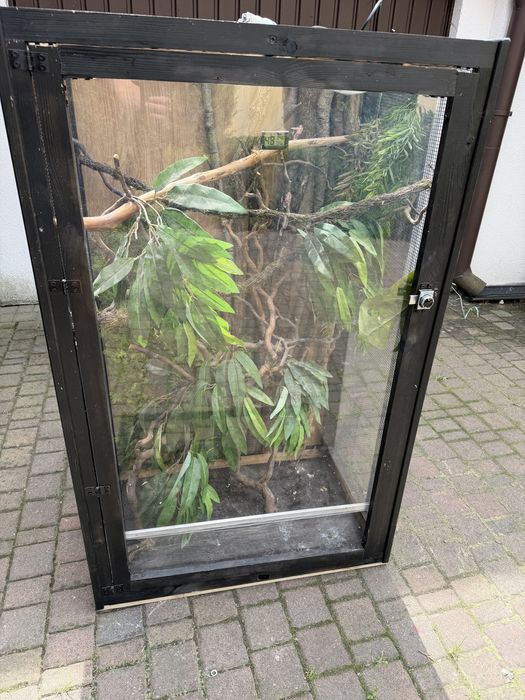 Terarium Kameleon Papuga itd