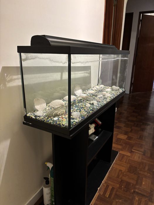 Aquário grande e completo em otimo estado