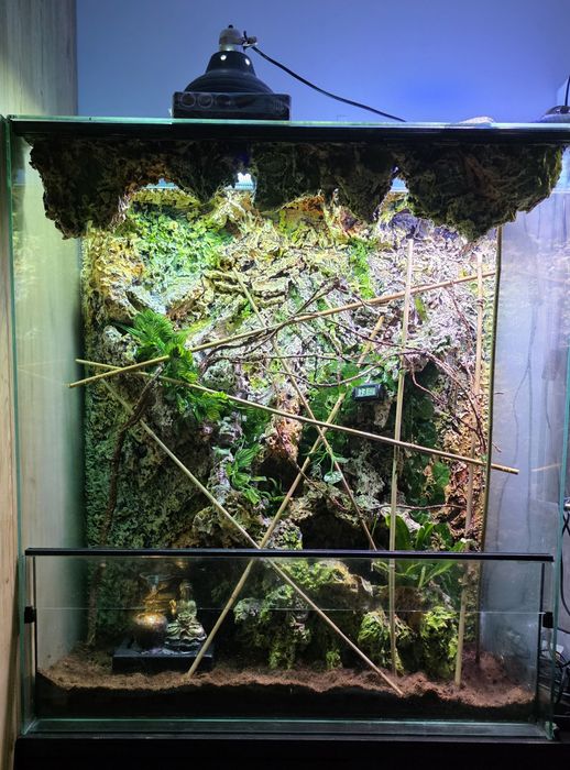 Terrarium dla gekona kameleona jaszczurki agamy terra wodospad