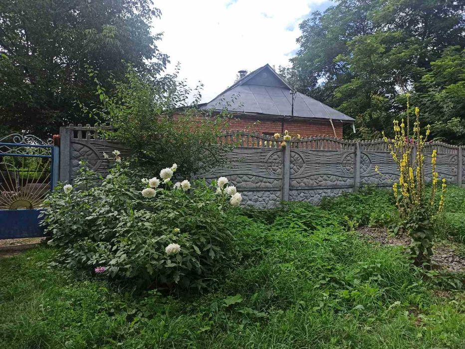 Продам будинок в с.Городище, 60с землі 5827