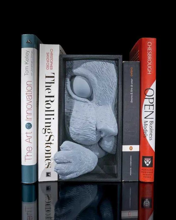 Curiosidade do gato - canto de leitura impresso em 3D Cor customizada