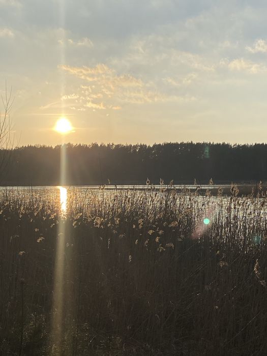 Domek  Na  Kaszubach - Niesiołowce
