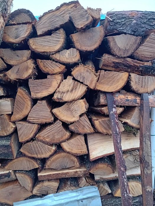 Drewno kominkowe opałowe dąb