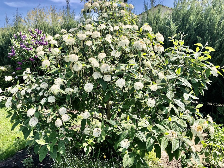 СДАМ САУНУ 500 грн в час В г. Черноморск