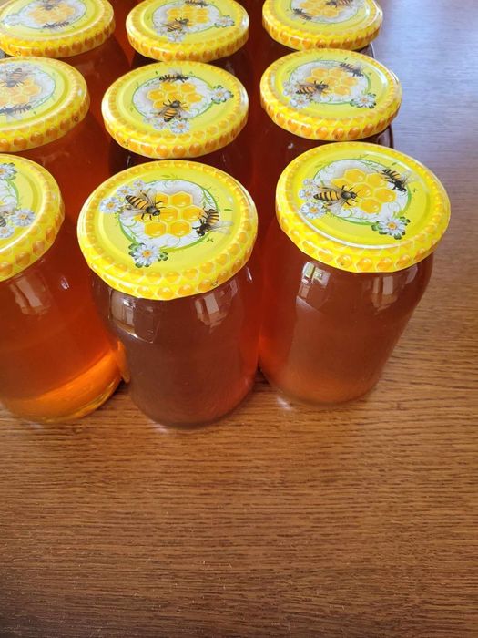 Sprzedam miód z własnej pasieki