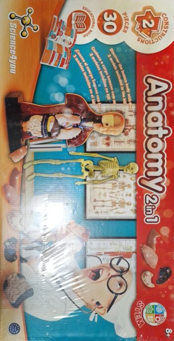 Jogo Corpo Humano Science 4 You