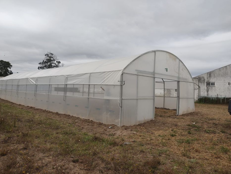 Estufas reta planta usadas