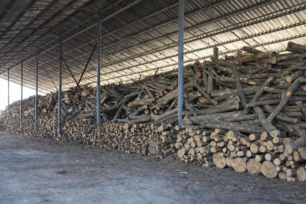 Дрова оптом та в роздріб безкоштовна доставка мінімальна ціна