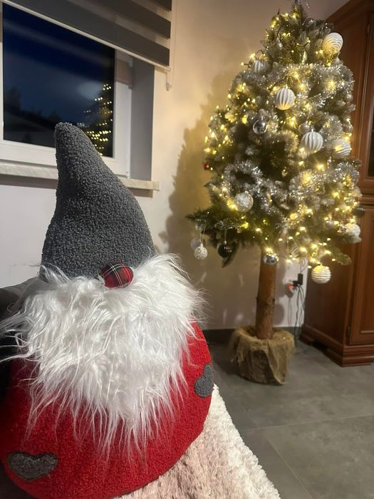 Dom pod lasem Sława Tarnówek 60 Noclegi całoroczne