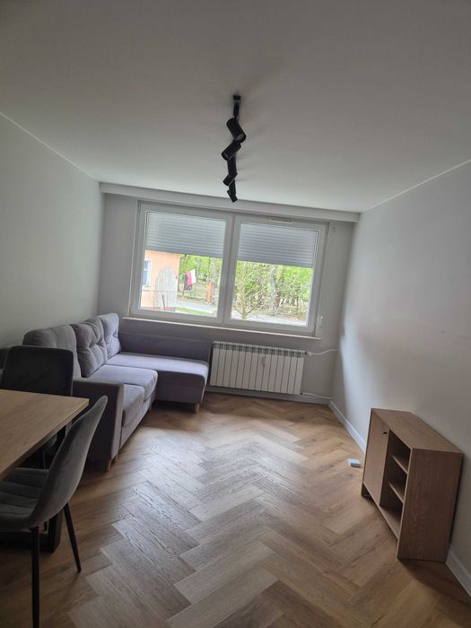 Mieszkanie do wynajęcia