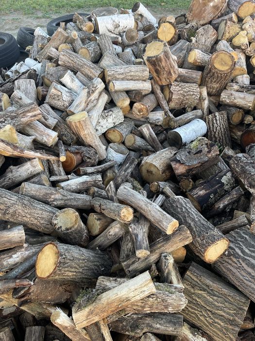 Drewno /Opał/ Dąb/Sosna/brzoza/Topola//mieszane/transport