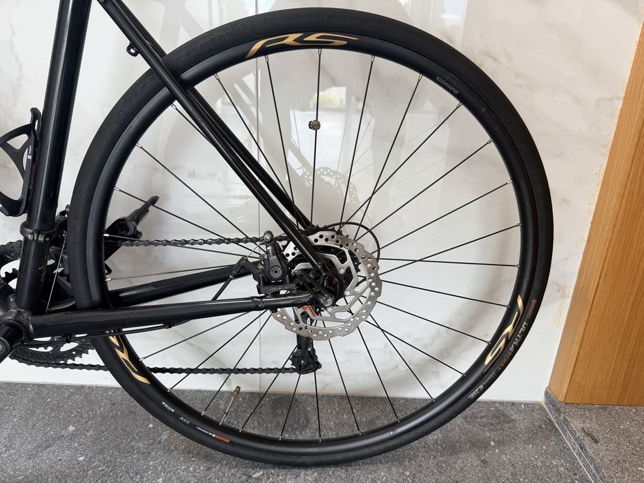Trek domane AL 2
