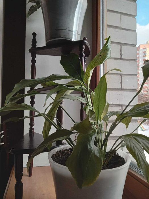 Подставка для цветов, украшений, игрушек