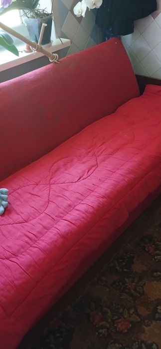 Віддам безкоштовно