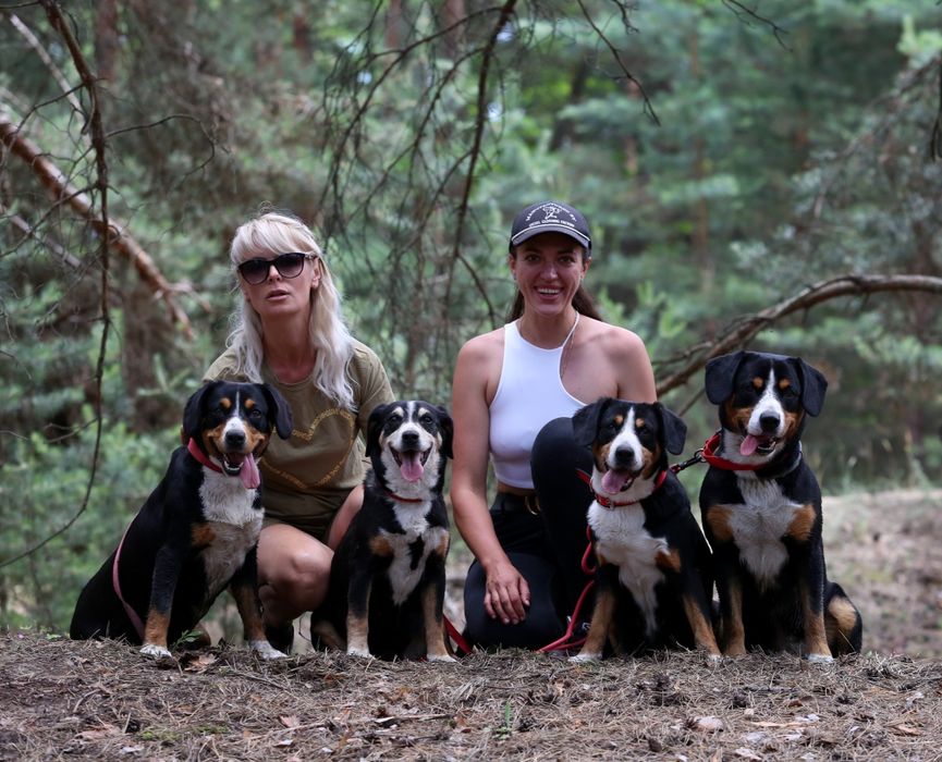 Ентлебухер зенненхунд  ODYSSEUS Энтлебухер зенненхунд!