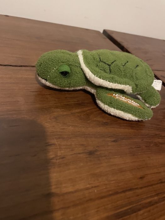Tartaruga Peluche
