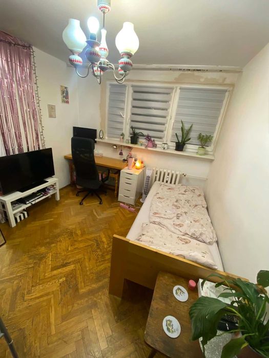 Do wynajęcia pokój przy Ogrodzie Botanicznym