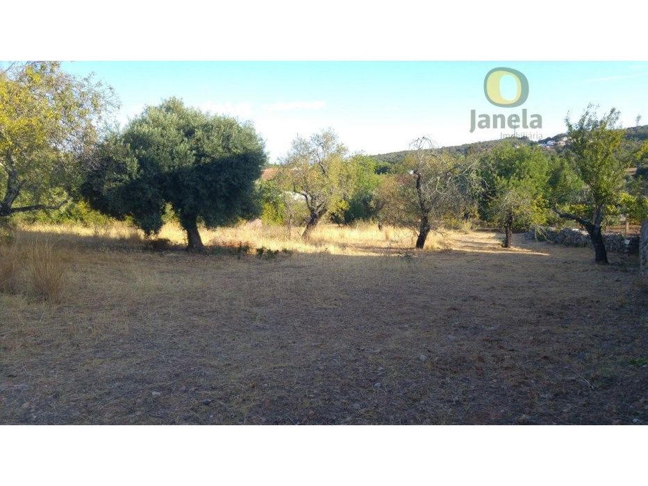 Terreno perto de S. Brás de Alportel