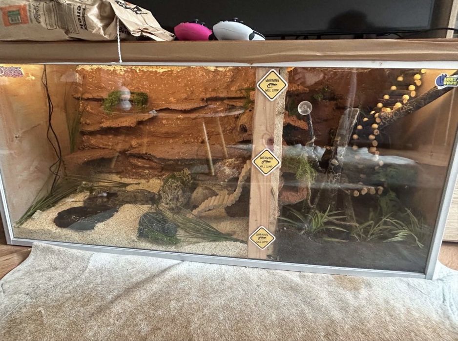 Terrarium 2w1 + wąż zbozowy