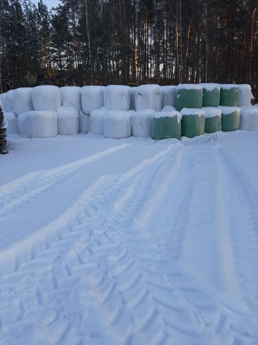 Sprzedam sianokiszonke