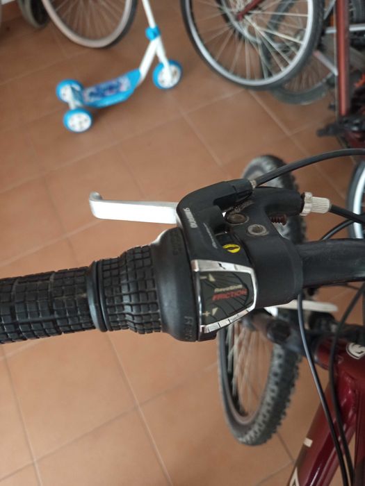 Bicicleta montanha Berg