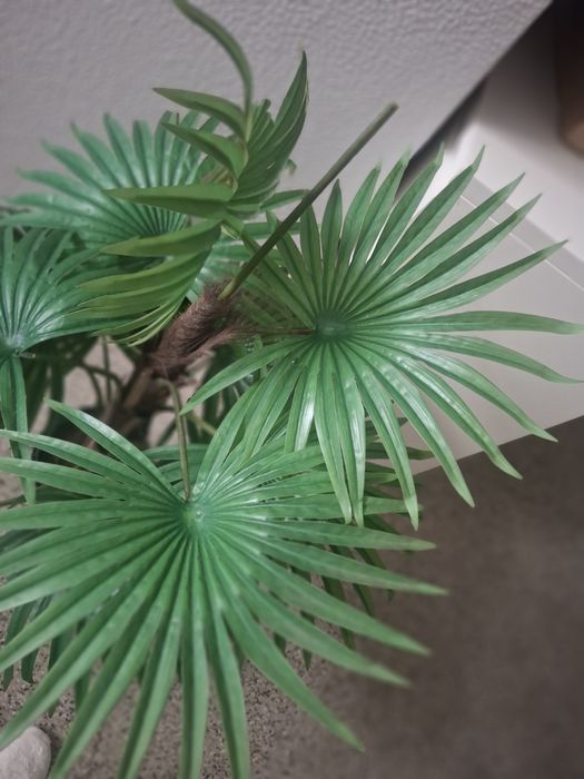 Planta artificial  verde area