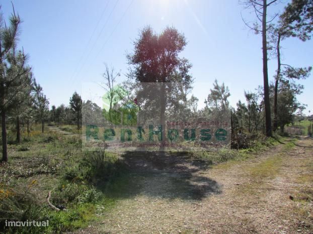 Terreno Para Construção Junto a Coimbra