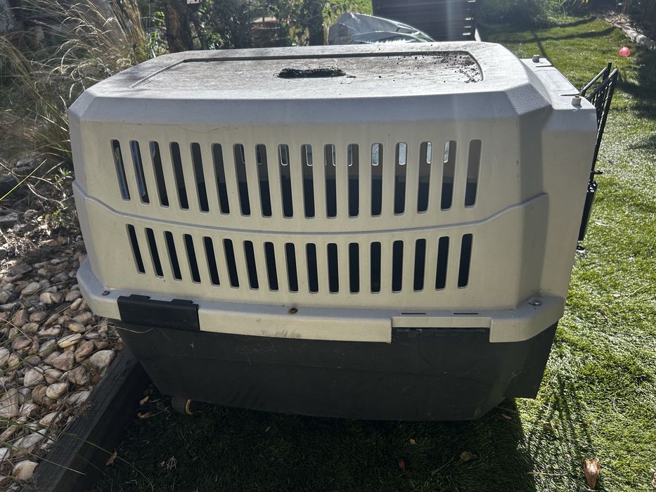 Transportadora cão