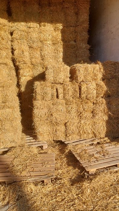Fardos Palha de Cevada