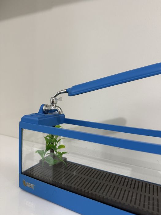 Mini aquário para peixes