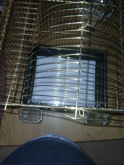 Gaiola para passaros