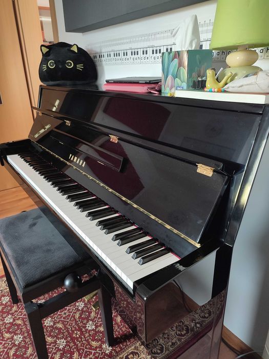 Nauka gry na pianinie, gitarze, ukulele i perkusji - prawobrzeże.