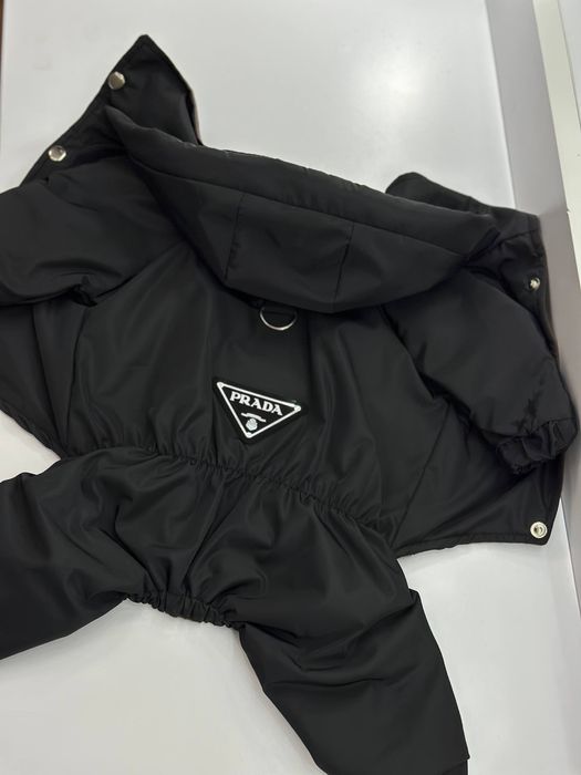 ОПТ одягу для собак. Брендовані речі, без лого, також шиємо по замірах