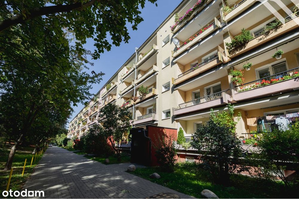 Mieszkanie z potencjałem | 2 pokoje 49 m² | do remontu