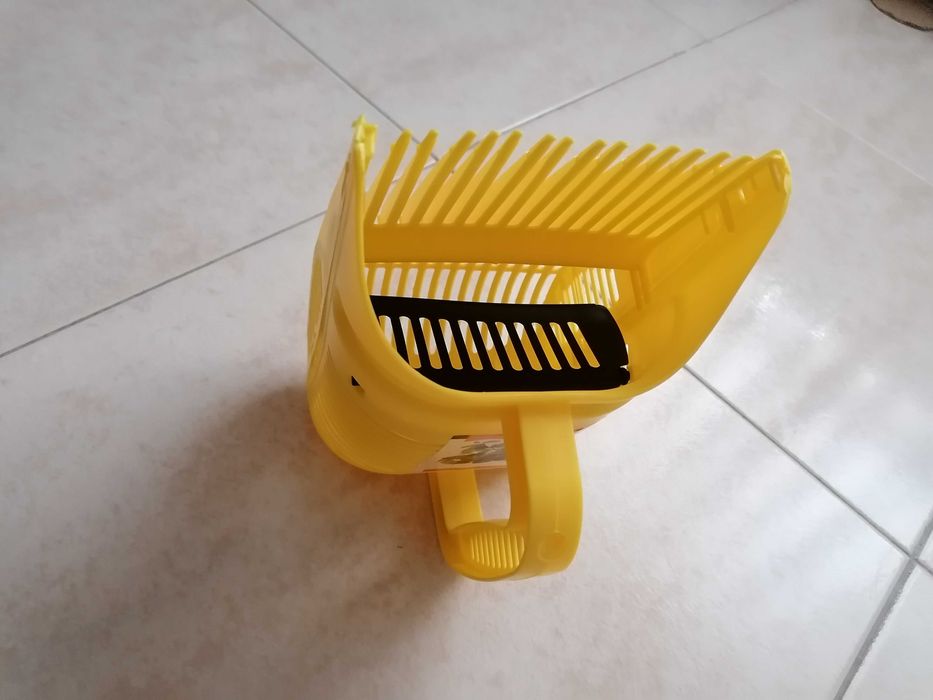 Apanhador de mirtilos