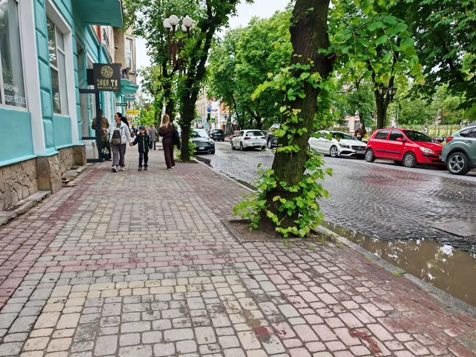 Оренда комерційного приміщення в Центрі, бульв. Шевченка