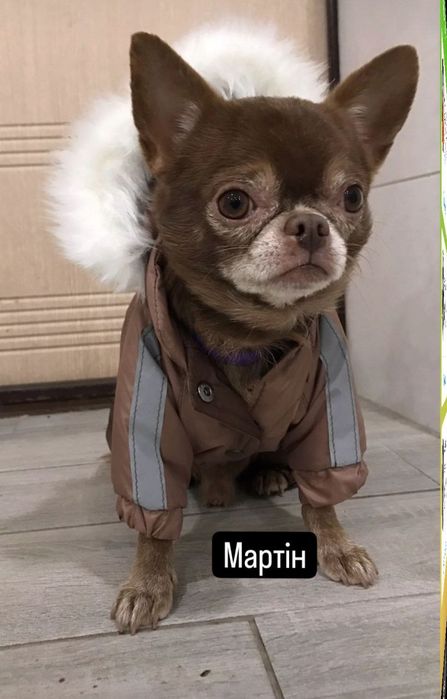 Завидный жених ищет невесту