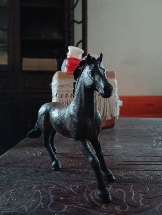 Conjunto Schleich 1