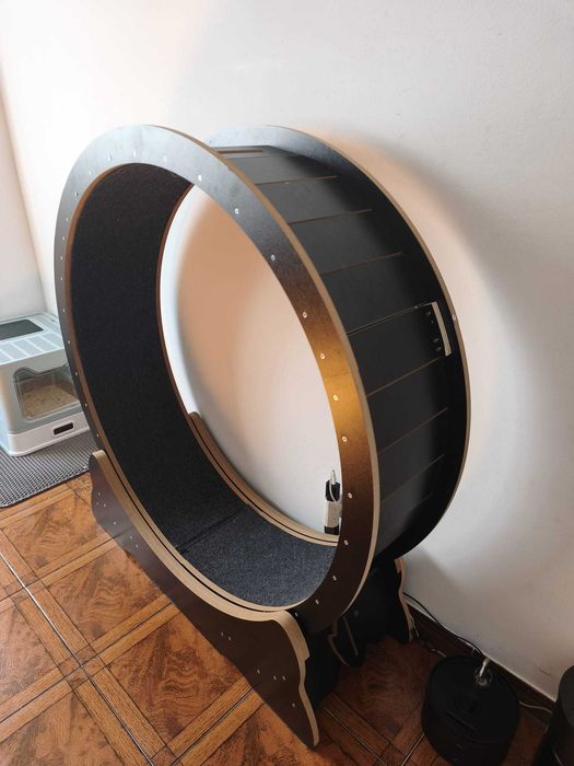 Roda para gatos de interior com faixa de tapete, fita de correr XL 43,3 polegadas, tapete removivel e Brinquedo para treinar e caminhar
