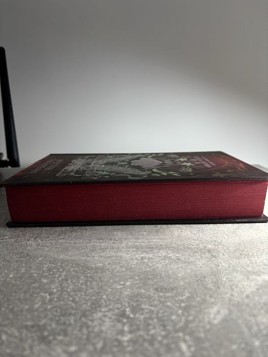 «Безсердечний мисливець» Крістен Сіккареллі