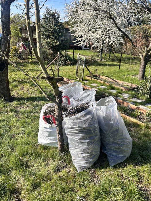 Gałęzie opał ognisko drewno drzewka owocowe małe workowane worki