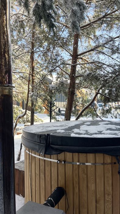 Будинок у сосновому лісі. Чан • Басейн • Генератор