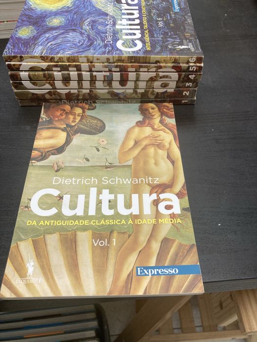 Livro Bíblia O Livro dos Livros Nº1, Expresso